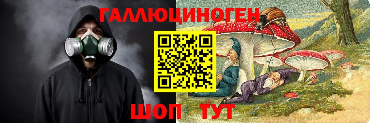 Грязи  Псилоцибиновые грибы Psilocybe  Вход с VPN 